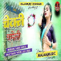 Chikani Chameli MalaaiMusicChiraiGoanDomanpur.mp3